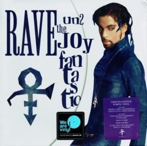 Rave Un2 The Joy Fantastic