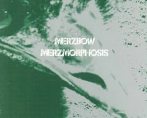 Merzmorphosis