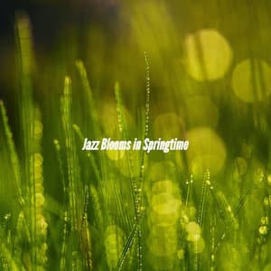 Jazz Blooms in Springtime