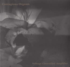 Voltage Controlled Amplifier