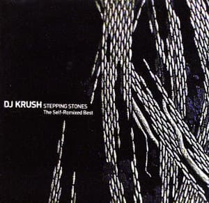 Stepping Stones The Self [Remixed Best Lyricism]
