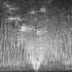 Acedia