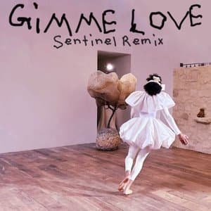 Gimme Love (Sentinel Remix)