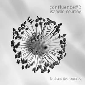 Confluence 2