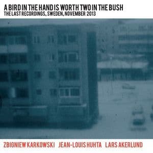 A Bird In The Hand Is Worth Two In The Bush (The Last Recordings, Sweden, November 2013)
