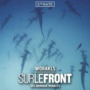SurLeFront Des Animaux Menaces