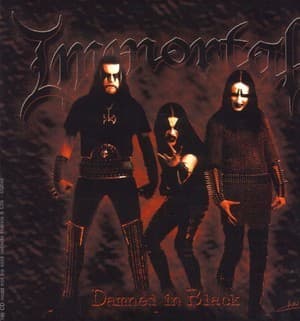 Damned In Black