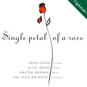 Single Petal Of A Rose