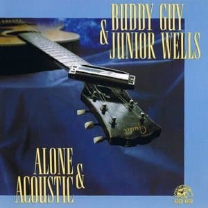Alone And Acoustic