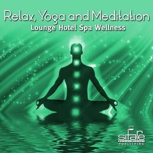 Relax Yoga and Meditation, Vol. 1 (Lounge Hotel Spa Wellness)