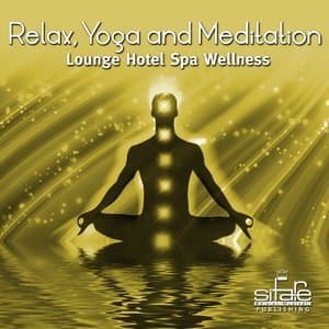 Relax, Yoga and Meditation, Vol. 3 (Lounge Hotel Spa Wellness)