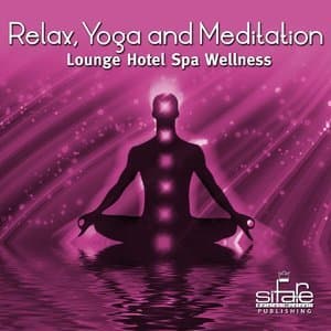 Relax, Yoga and Meditation, Vol. 4 (Lounge Hotel Spa Wellness)