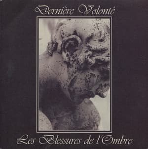 Les Blessures De L'Ombre
