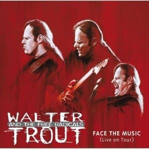 Face The Music (Live on Tour)