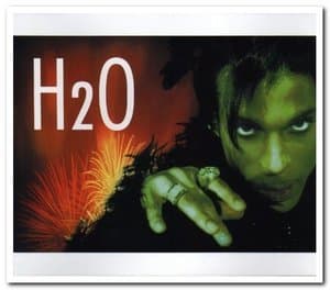H2O
