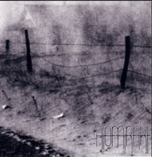 Verwustung