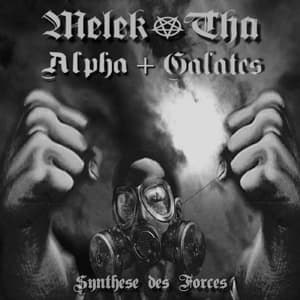 Synthese Des Forces