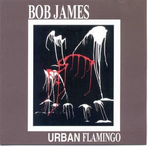 Urban Flamingo