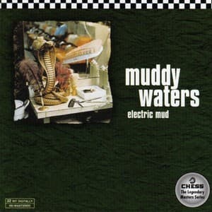 Electric Mud