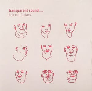 Hair Cut Fantasy