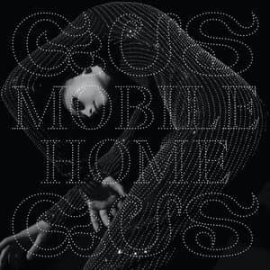 Mobile Home