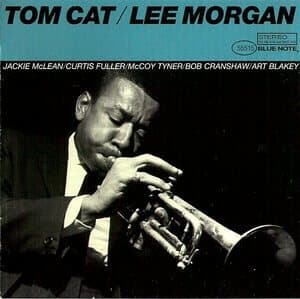 Tom Cat
