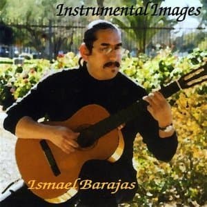 Instrumental Images