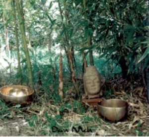 Deva Mela