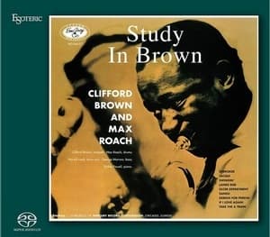 Study In Brown