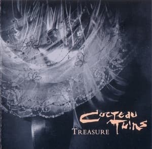 Treasure