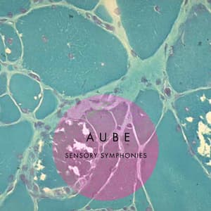 Sensory Symphonies