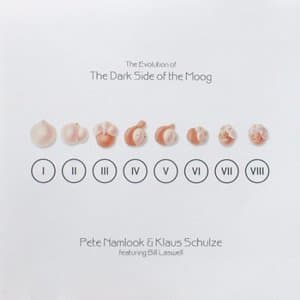 The Evolution Of The Dark Side Of The Moog