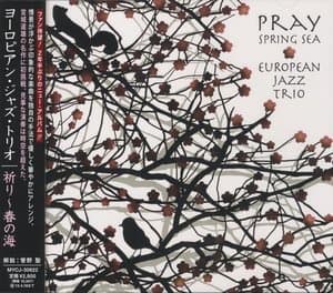 Pray: Spring Sea