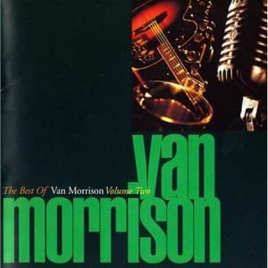 The Best Of Van Morrison Volume Two