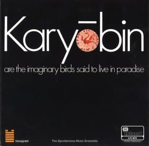 Karyobin