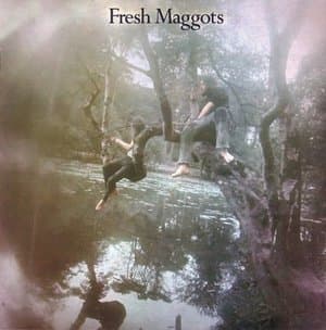 Fresh Maggots... Hatched
