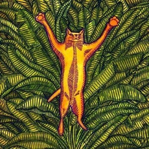 Gatos Do Sul