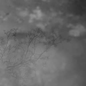 Spatial Sense