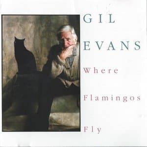 Where Flamingos Fly