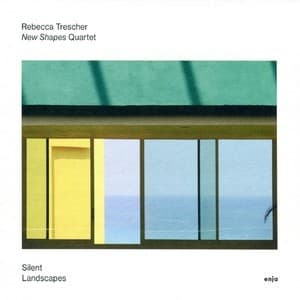 Silent Landscapes ( feat. Philipp Schiepek, Lukas Keller & Jan Brill)