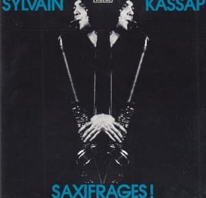 Saxifrages!