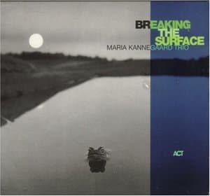 Breaking The Surface