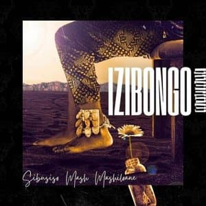 IZIBONGO