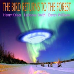 The Bird Returns To The Forest