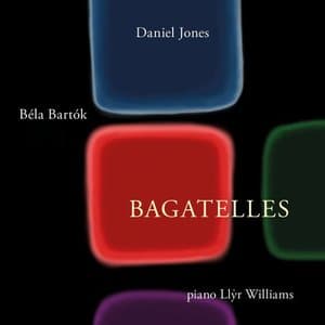 Daniel Jones & Bela Barok: Bagatelles