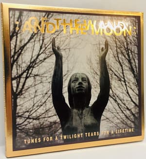 Tunes For A Twilight - Tears For A Lifetime