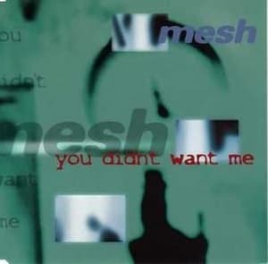 You Didn't Want Me
