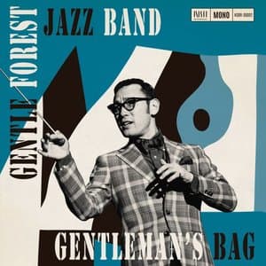 GENTLEMANs BAG
