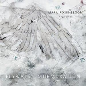 Murmuration