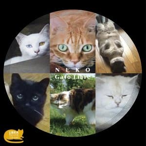 Neko